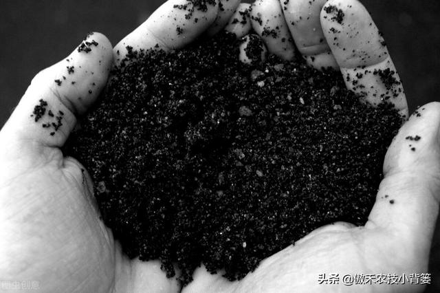 腐殖酸主要原料是什么，腐植酸的十大作用（你可能对腐植酸的认识与使用有误区）