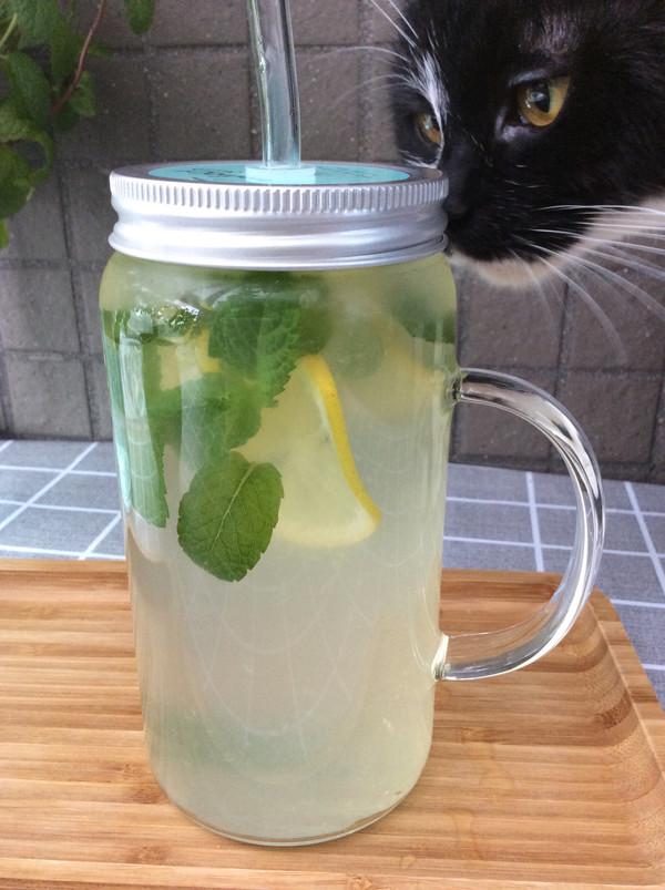 柠檬水怎么做 柠檬水的正确做法大全，柠檬水怎么做简单方法蜜雪冰城（成本低没有添加剂）