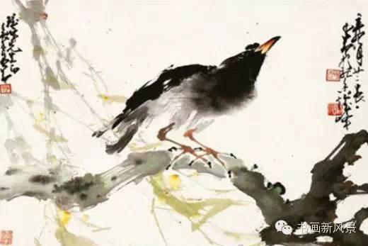 花鸟草虫大全，赵少昂花鸟草虫精选66幅