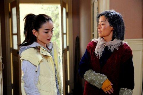 婆婆来了分集剧情，婆婆来了电视剧分集剧情（何琳算计王传志净身出户）