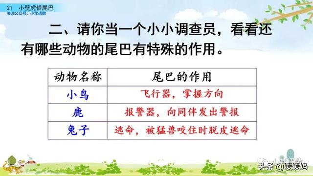 小壁虎的尾巴有什么功能，壁虎的尾巴有什么用（一年级下册语文课文21《小壁虎借尾巴》图文详解及同步练习）