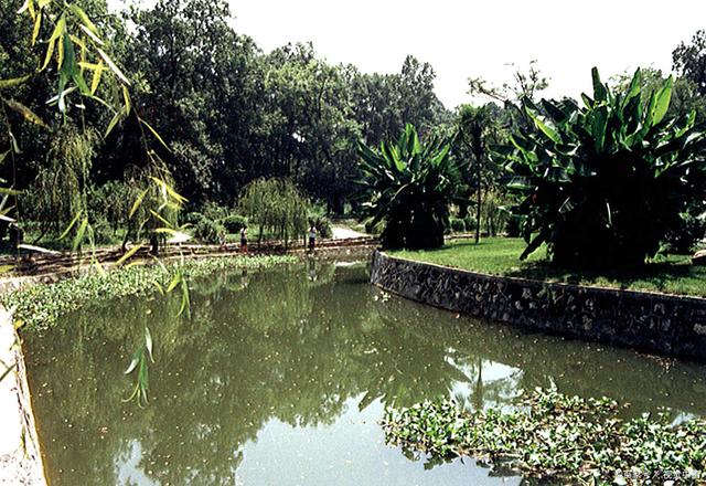 历史上诸葛亮的成就有哪些，诸葛亮的重要成就是什么（诸葛亮一生的伟大成就其实主要基于这八个字）