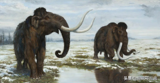 世界上最烂的坦克，二战最弱重坦排名（坦克世界开服至今最“坚挺”的德国重坦是）