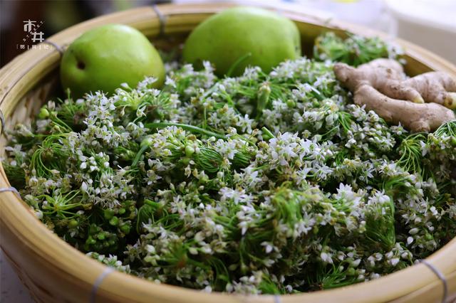 韭菜酱的做法 大家可以做一做，韭菜酱的做法（腌韭菜花酱原来这么简单）