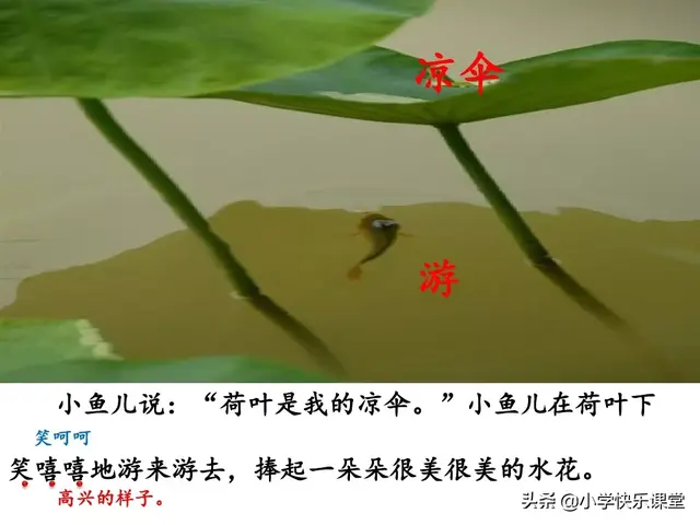 一什么荷叶一什么凉伞，荷叶是小雨的凉伞（小学部编版一年级下册语文课文13《荷叶圆圆》图文解读+知识点）