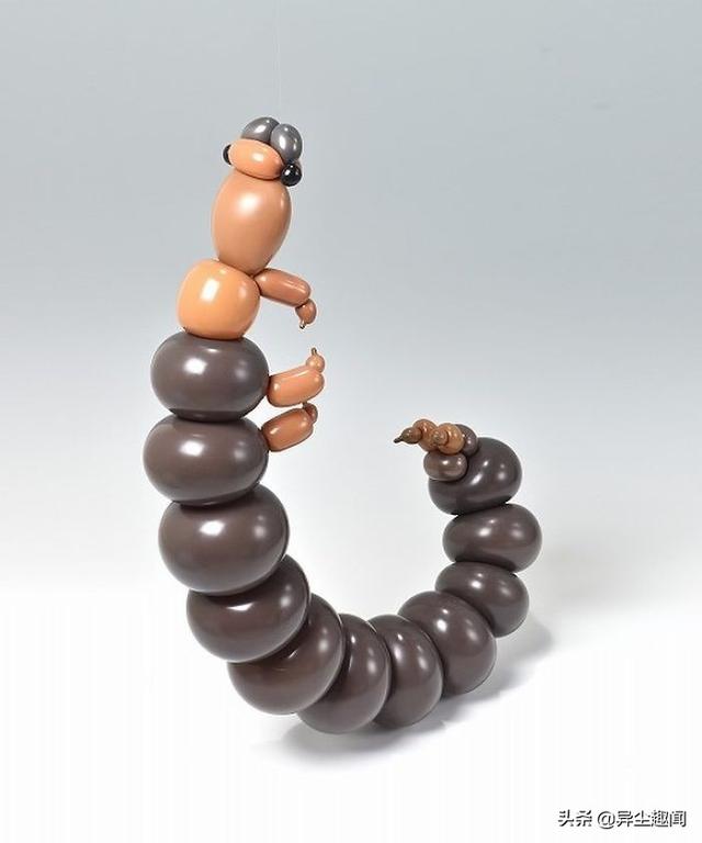 用气球做小动物教程，教你用气球做小狗的方法（日本艺术家用气球制作了令人难以置信的动物模型）