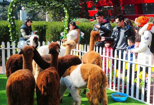 杭州旅游景点有哪些景点？盘点杭州旅游10大景区，建议收藏