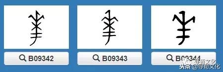 曹的五笔怎么打，曹字五笔怎么打的（华-汉字的艺术与中华姓氏文化荀卿庠整理）