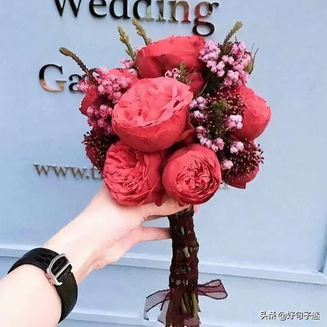 打动人心的爱情句子，打动人心的爱情句子长句（打动人心的爱情句子）