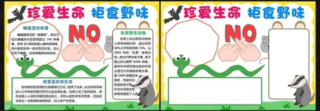 关于新型冠状病毒的手抄报，有关新型冠状病毒的手抄报怎么画（2020新型冠状病毒手抄报素材大全）