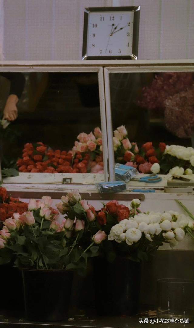 他们种小麦 我偏种玫瑰 我可以饿死 但浪漫不死，他们种小麦 我种玫瑰 我饿死 浪漫不死出自哪里（收集那些小众又惊艳的浪漫文案图片）