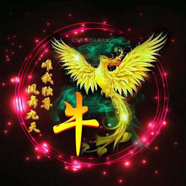 凤凰，微信头像，凤凰（唯美凤凰主题姓氏头像）
