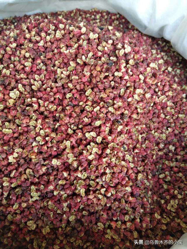 花椒的产地在哪里，花椒盛产于哪里（花椒的品种和产地）