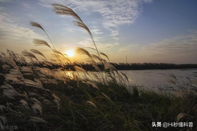 落星墩建于什么年代，落星墩有多少年历史（千年石岛落星墩出现）