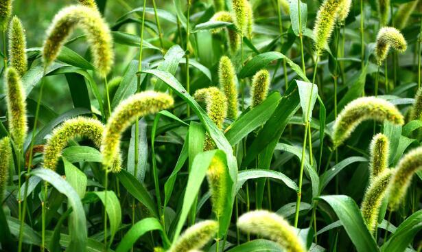 如何对付那些损人不利已的小人，对付小人有什么办法（损人不利己的这三种人）