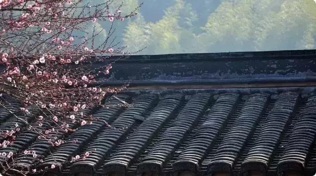 格外大方猜字谜打一字，猜字谜格外大方打一字是什么字（猜猜看<为孩子收藏着>）