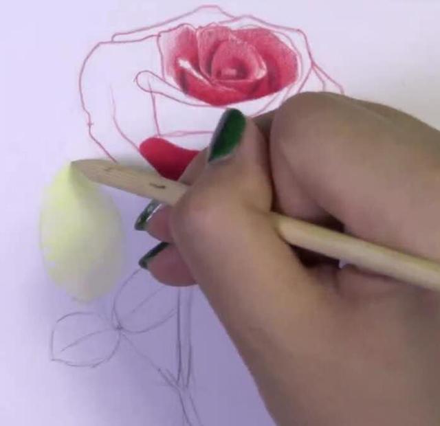 玫瑰花的简笔画，玫瑰花简笔画画法详解（教你掌握3个步骤画出“蔷薇玫瑰”）