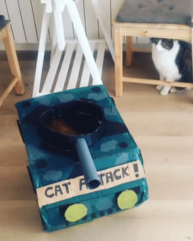 如何用最简单的材料给猫咪做玩具，如何用最简单的材料给猫咪做玩具熊（网友给家里的猫打造纸箱坦克）