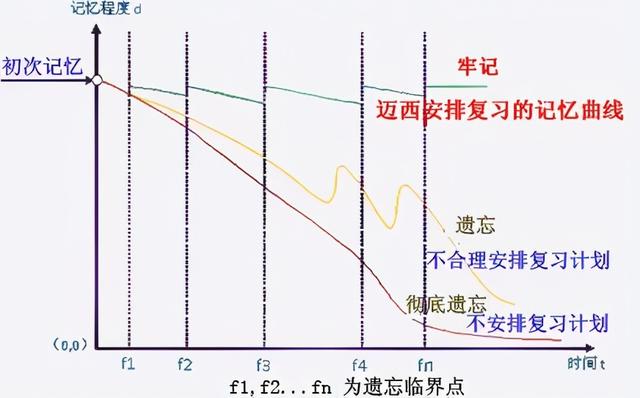 记忆遗忘曲线壁纸图片