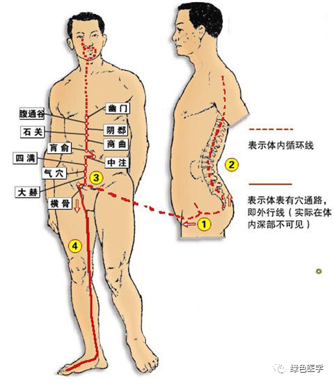 提肛一年后性功能，提肛一年后性功能肌肉不（学会了可随时随地养生）