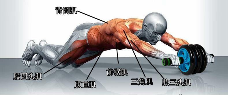 女生用健腹轮多久可以站起来，最全的腹肌轮攻略给到你，让你天天进步