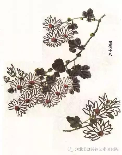花的画法——菊花的画法，菊花是怎么画（菊花画法大全）