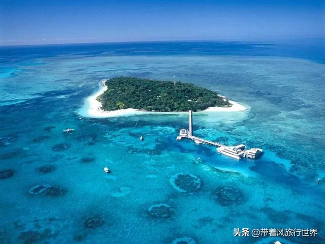 原来珊瑚礁是这样形成的，面临死亡威胁的珊瑚礁群