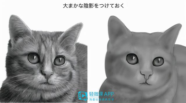 7步教你学会画老虎，7步教你学会画老虎视频（动物简单画法技巧）