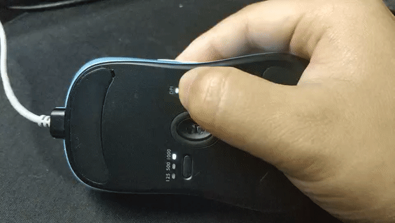 divina跳蚤防治，吡虫啉灭跳蚤（职业FPS选手标配）