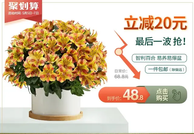 母亲节送什么花，母亲节该送什么花（你的宠妈清单上是否有花）