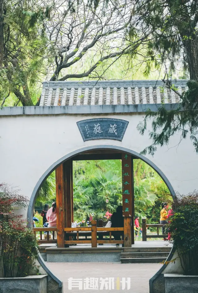 郑州碧沙岗公园有什么好玩的，郑州碧沙岗公园游览图（郑州人习以为常的碧沙岗）