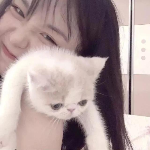 单身贵族头像，单身贵族头像(不要会员)（单身贵族头像 单身限定）