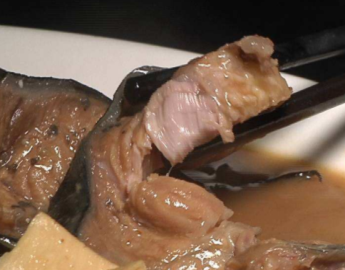 鲶鱼是什么鱼，鲶鱼吃什么鱼饵（鲶鱼都是吃“垃圾”长大的）