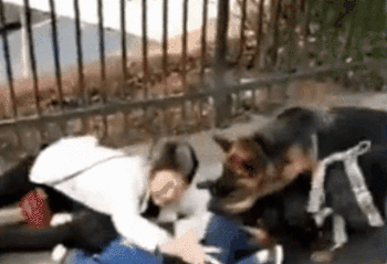 狂犬病毒，阻碍患者吞咽口水（狂犬病毒通过什么途径传播）