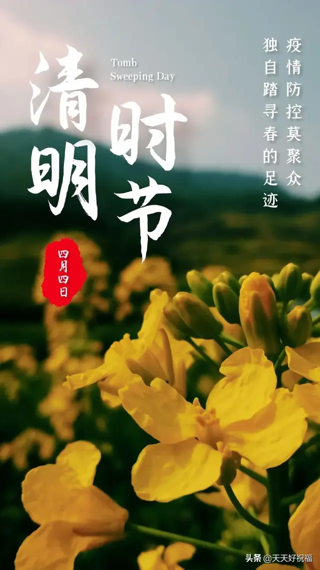 清明节搞笑短信，2022清明节搞笑祝福短信（清明节短信问候语录大全）