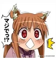 纳尼的意思，日语纳尼的意思（在我身边居然潜伏着这么多日语）