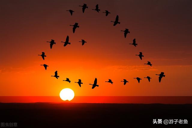 今夕何夕见此良人，今夕何夕见此良人是什么意思（学习诗经系列之五-今夕何夕）