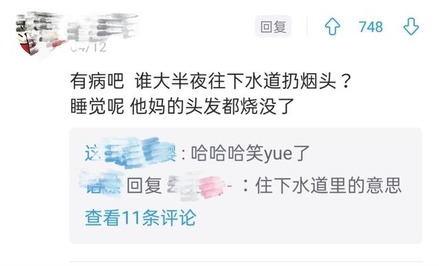 小母牛坐灯泡什么意思，小母牛坐灯泡什么意思啊（收集网络上的那些“有病”的文案）