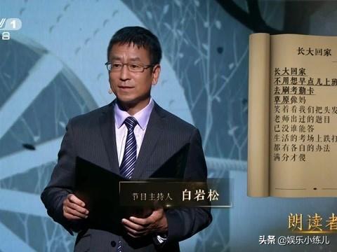 央视主持人白岩松简介，白岩松简介（转向幕后的主持人白岩松）