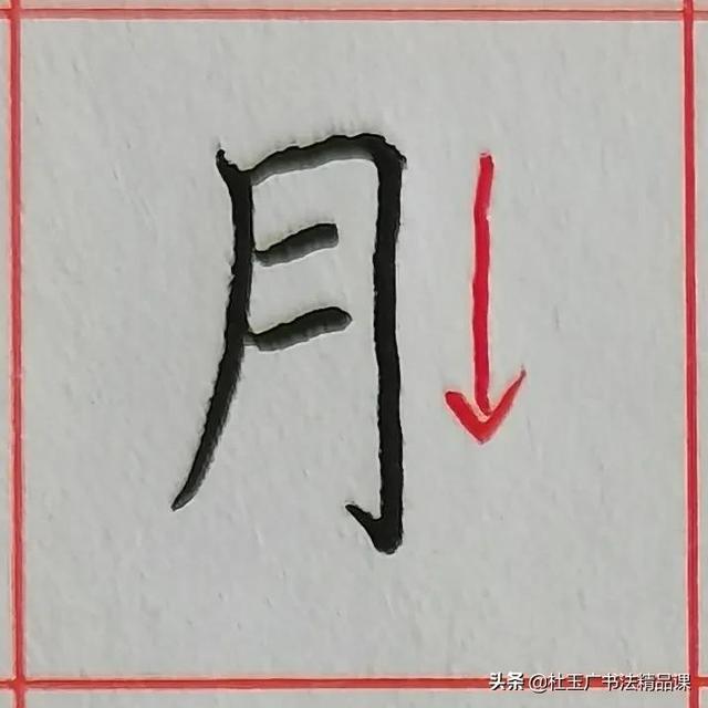 1,月字的笔顺是撇, 横折钩, 横, 横