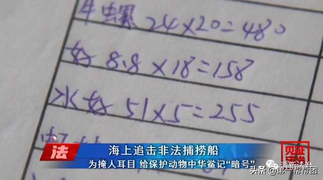 鲎是保护动物吗，鲎是保护动物吗为啥（休渔期非法捕捞国家保护动物中华鲎）