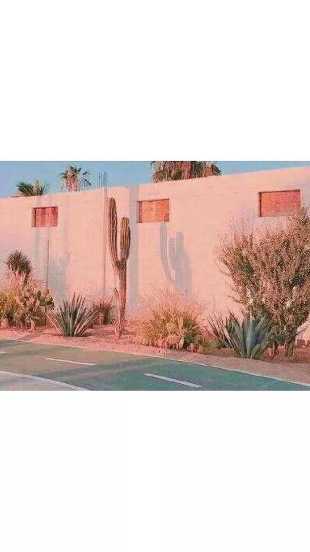 动漫帅哥美女图片，帅哥美女杂图（图王鲨鱼哥第33期33套微信头像加背景图）