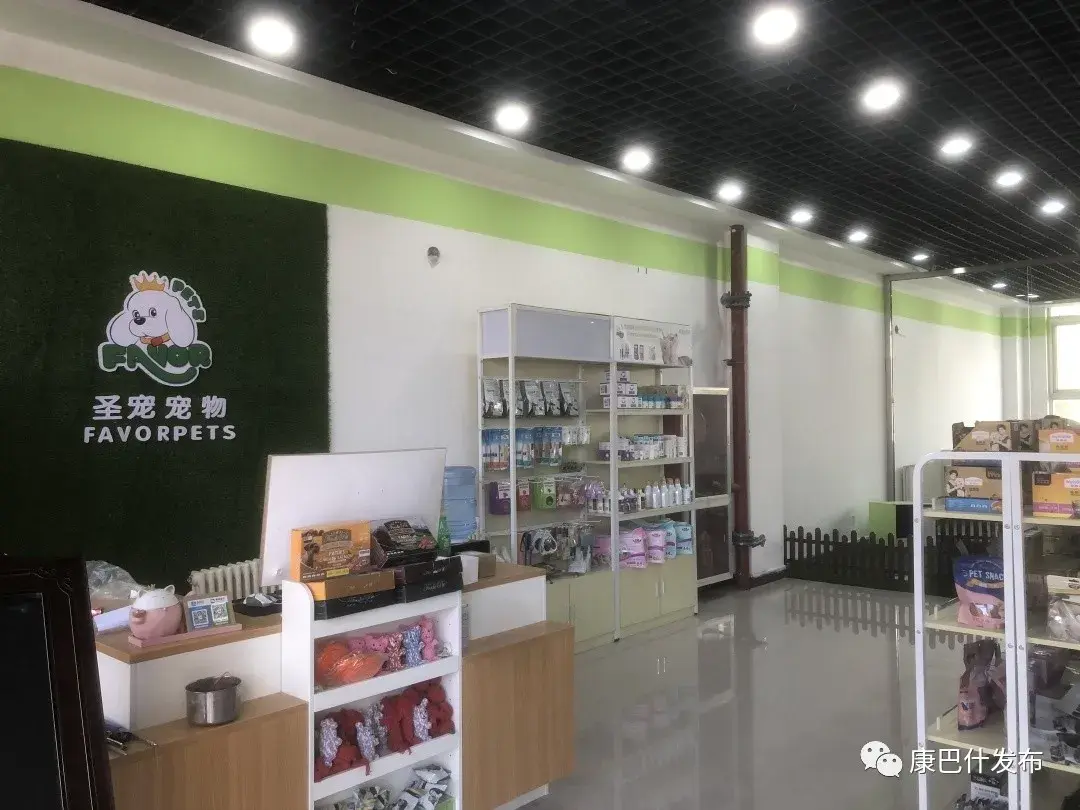 圣宠宠物店(附近哪有宠物市场)