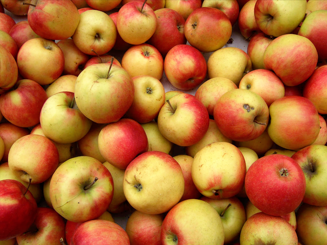 苹果的品种有哪些，目前最好吃的苹果是什么品种（盘点最受欢迎的苹果品种）