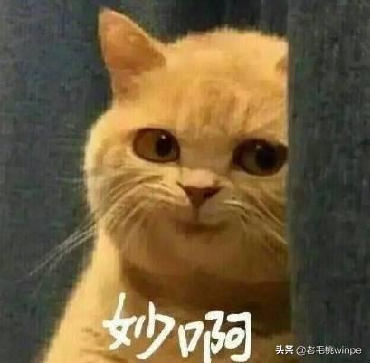 win7笔记本卡顿反应慢怎么解决，笔记本win7太卡了怎么解决（成功让我放弃了win7）