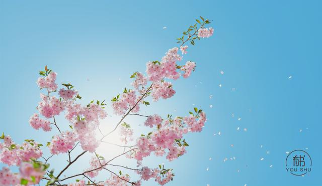 孰能无惑的上一句，孰能无惑的上一句是什么意思（做人，成于三悟，败于三忌）