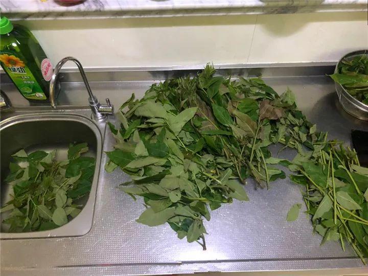 旭辉快讯 - 旭辉网