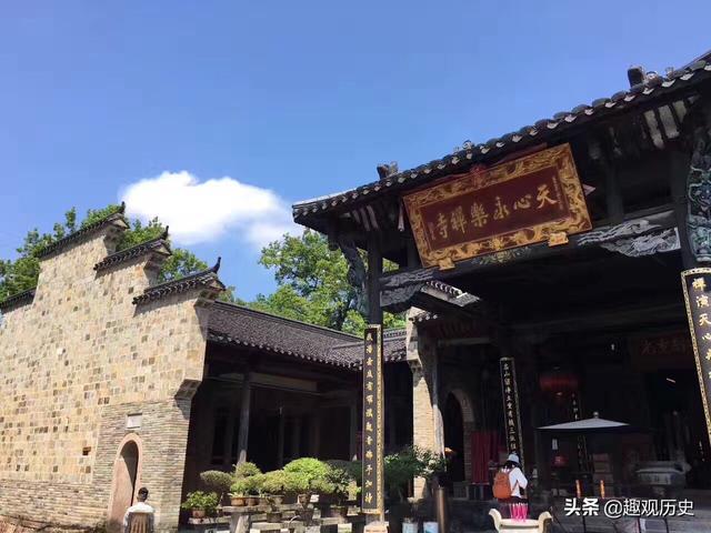 母树大红袍与普通大红袍的区别，大红袍母树百科（中国最珍贵植物之一）