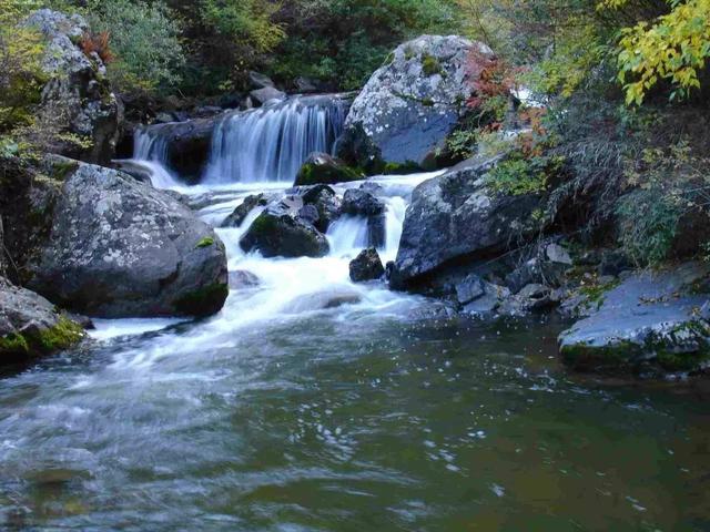甘肃陇南女人特点，陇南的特点（甘肃最漂亮的14个美女）