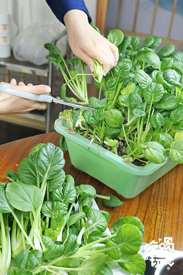 合肥齐祺渔锅地址，齐祺渔锅官网地址（邯郸这家专门吃鱼的店）